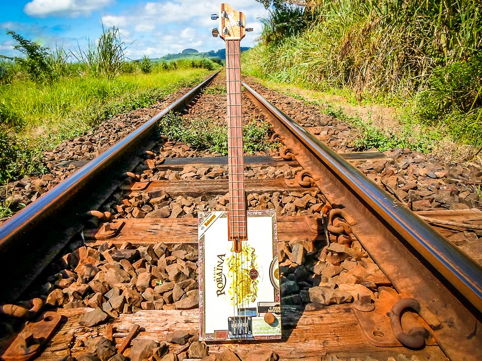 Cigar Box Guitar Modelo: Cigar Box 3C / Ano 2016