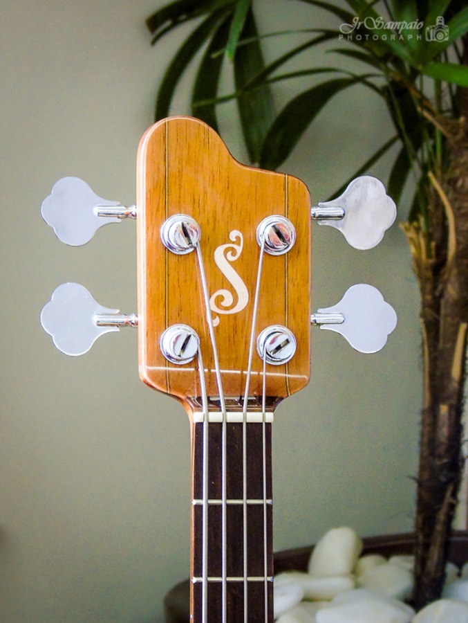 Modelo: Cigar Bass 4C / Ano 2018 / Artista: Juninho Sampaio