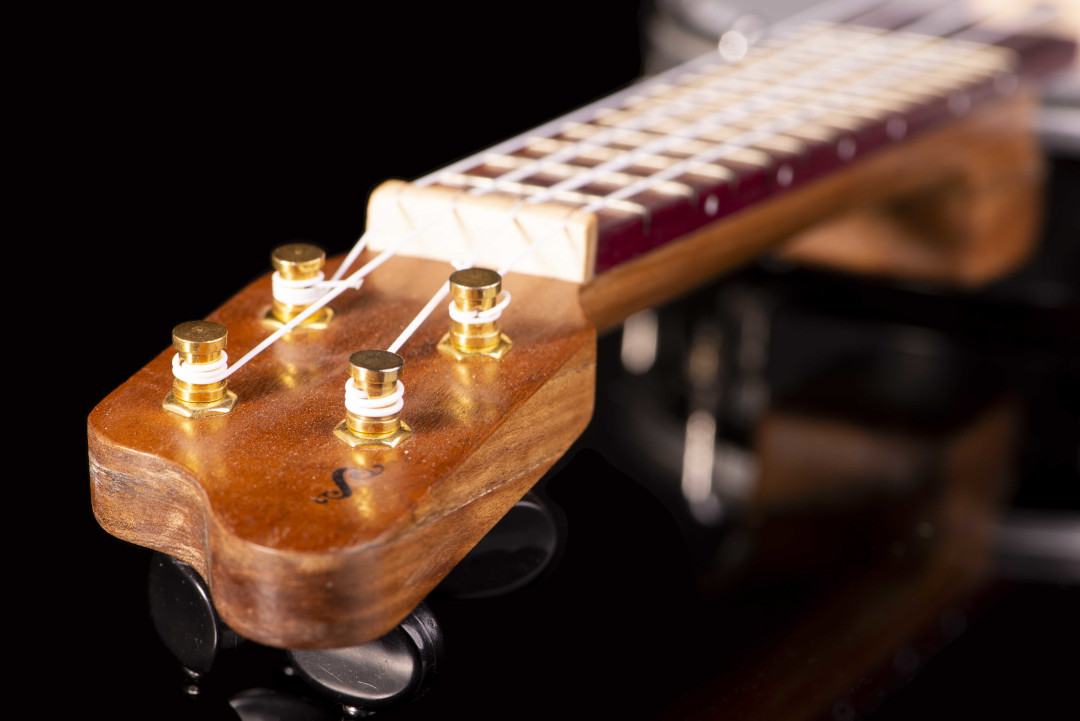 Modelo: Banjolele / Ano 2020