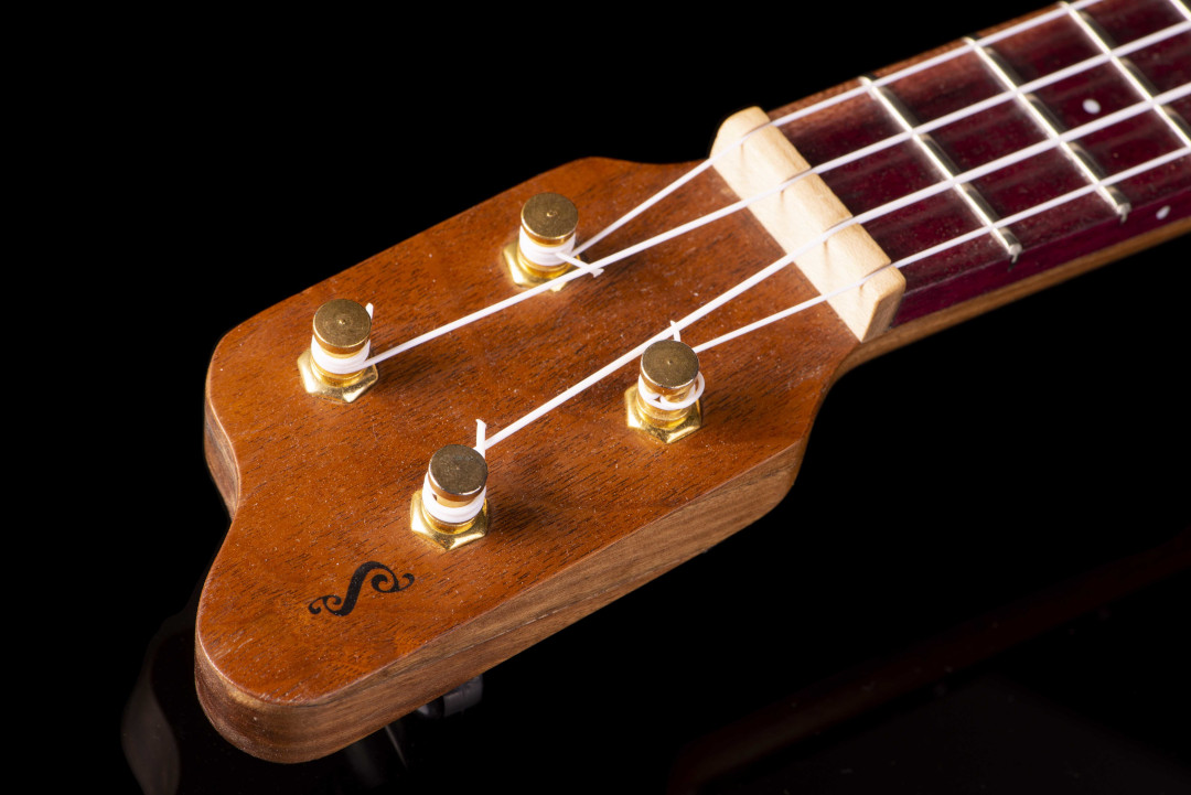 Modelo: Banjolele / Ano 2020