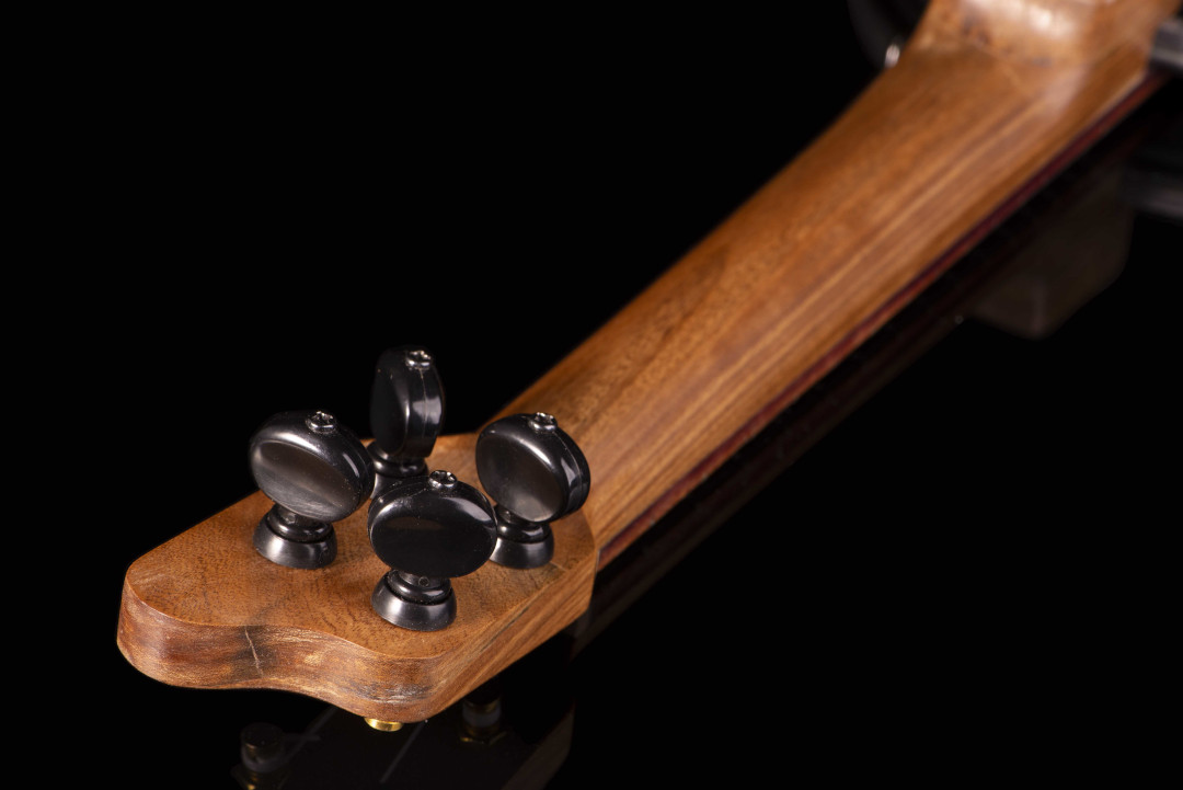 Modelo: Banjolele / Ano 2020