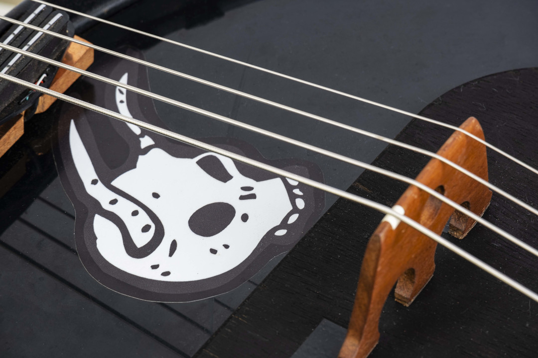 Modelo: Banjo Bass / Ano 2019 / Artista: Mississippi Devils