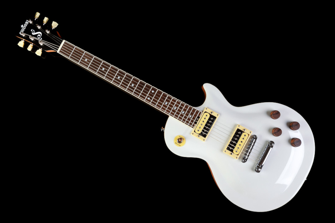 Modelo: Les Paul / Ano 2020 / Artista: Nando Andrade - TioGica