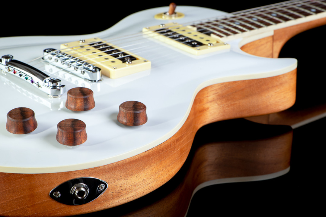 Modelo: Les Paul / Ano 2020 / Artista: Nando Andrade - TioGica