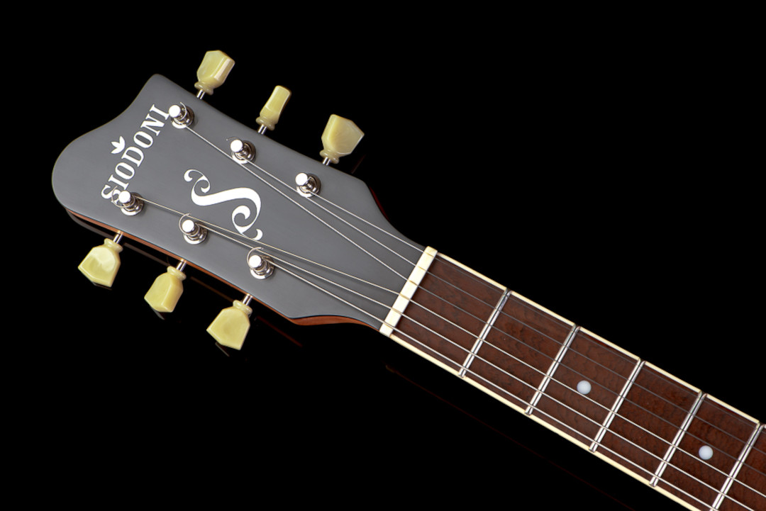 Modelo: Les Paul / Ano 2020 / Artista: Nando Andrade - TioGica