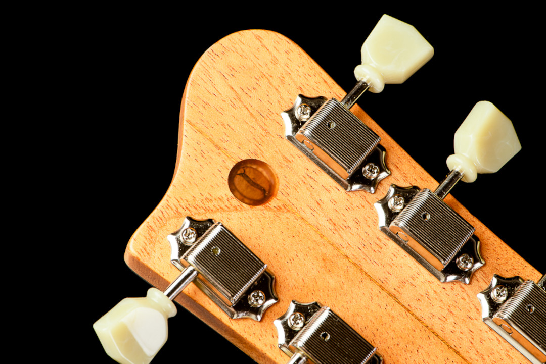 Modelo: Les Paul / Ano 2020 / Artista: Nando Andrade - TioGica
