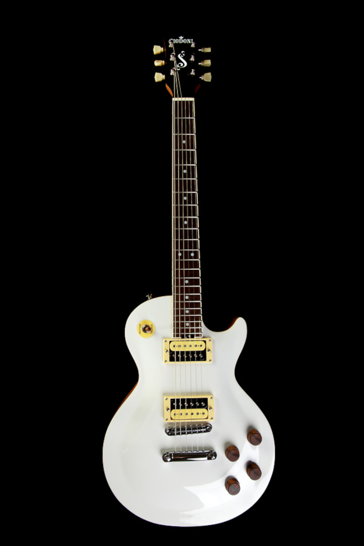 Modelo: Les Paul / Ano 2020 / Artista: Nando Andrade - TioGica