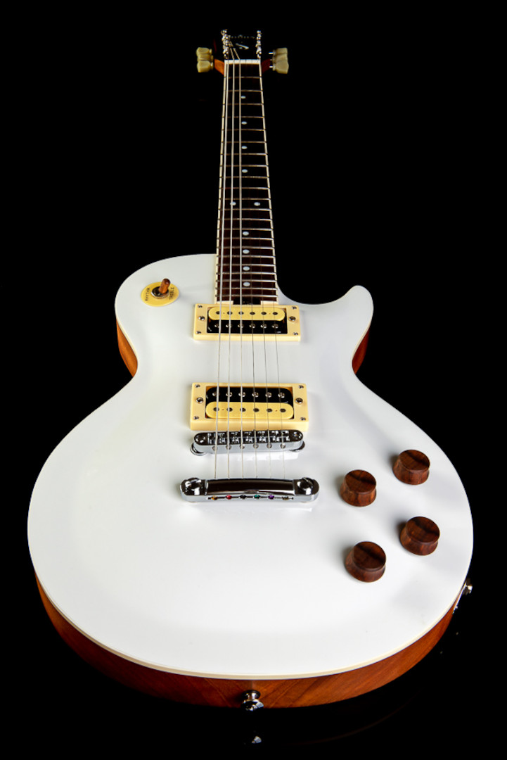 Modelo: Les Paul / Ano 2020 / Artista: Nando Andrade - TioGica