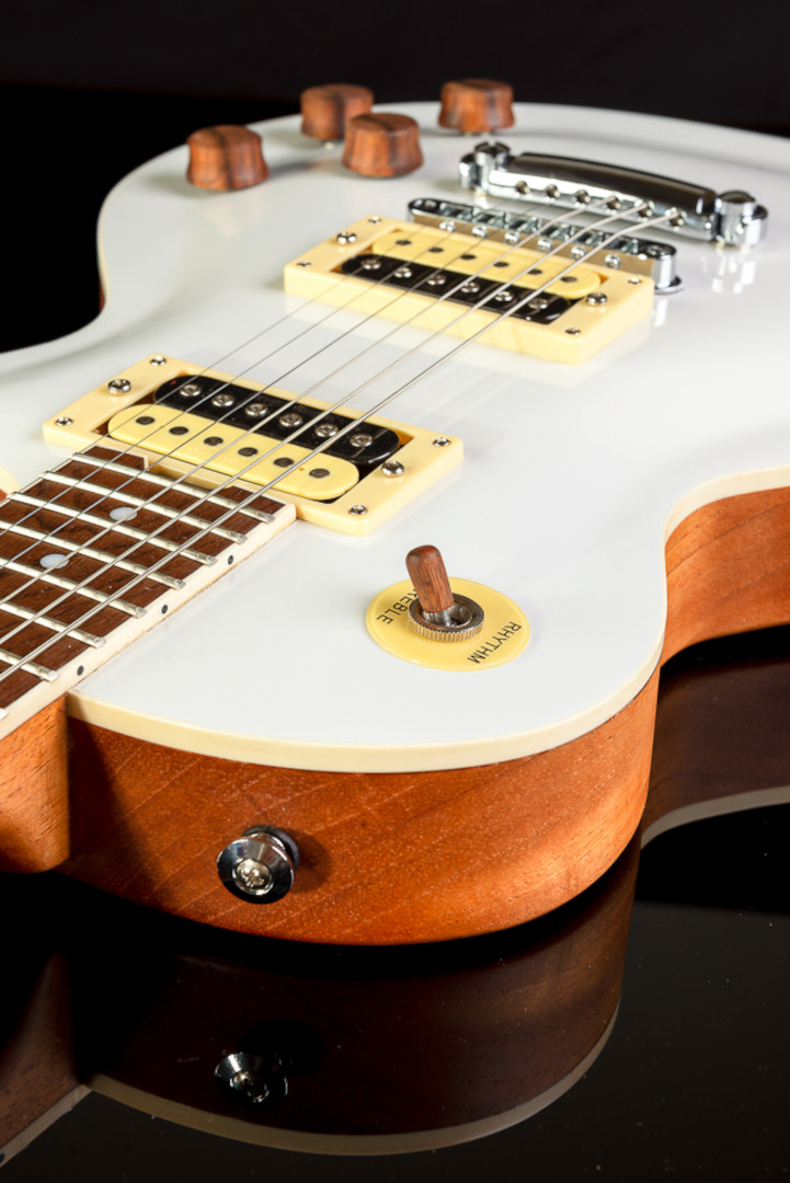 Modelo: Les Paul / Ano 2020 / Artista: Nando Andrade - TioGica