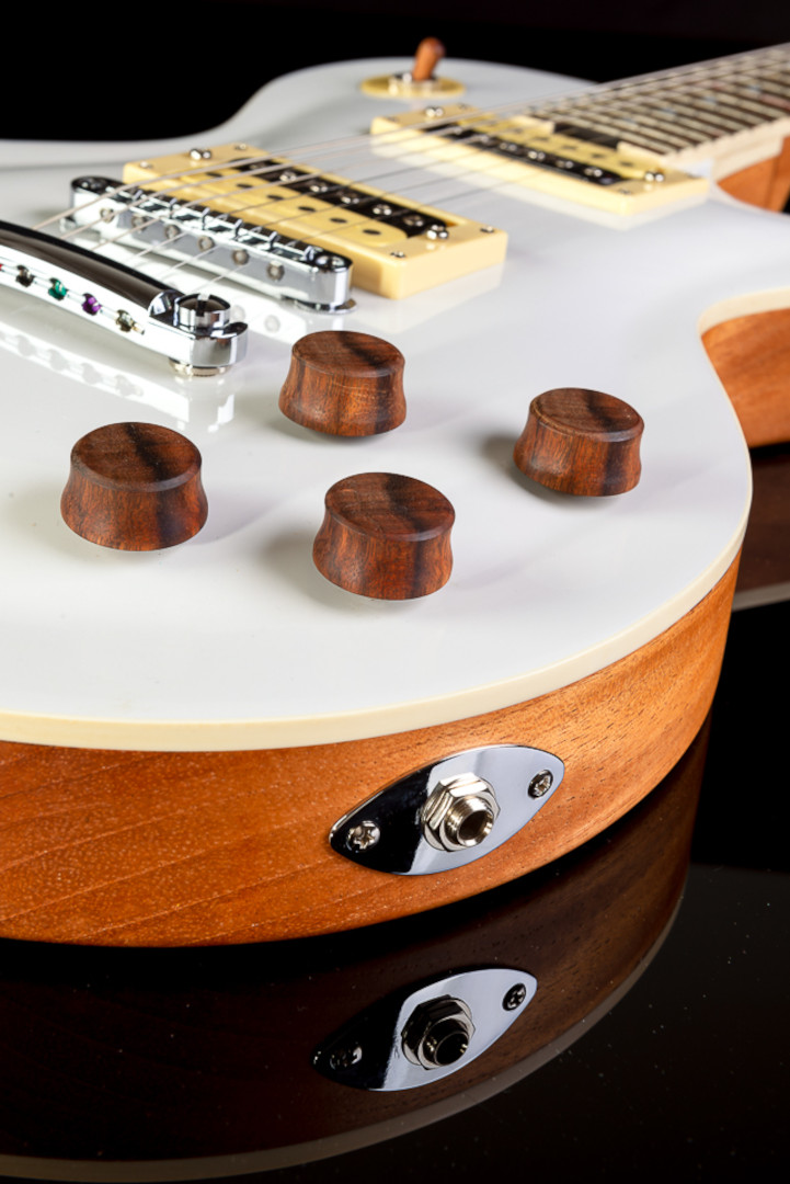 Modelo: Les Paul / Ano 2020 / Artista: Nando Andrade - TioGica