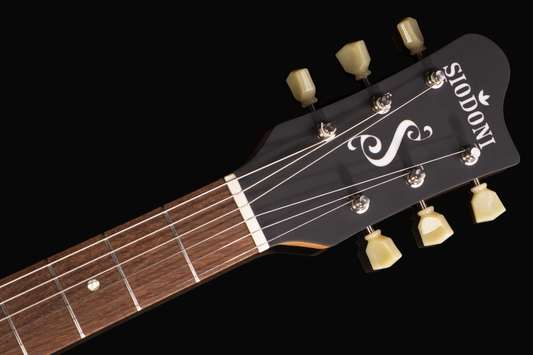 Modelo: Les Paul / Ano 2020