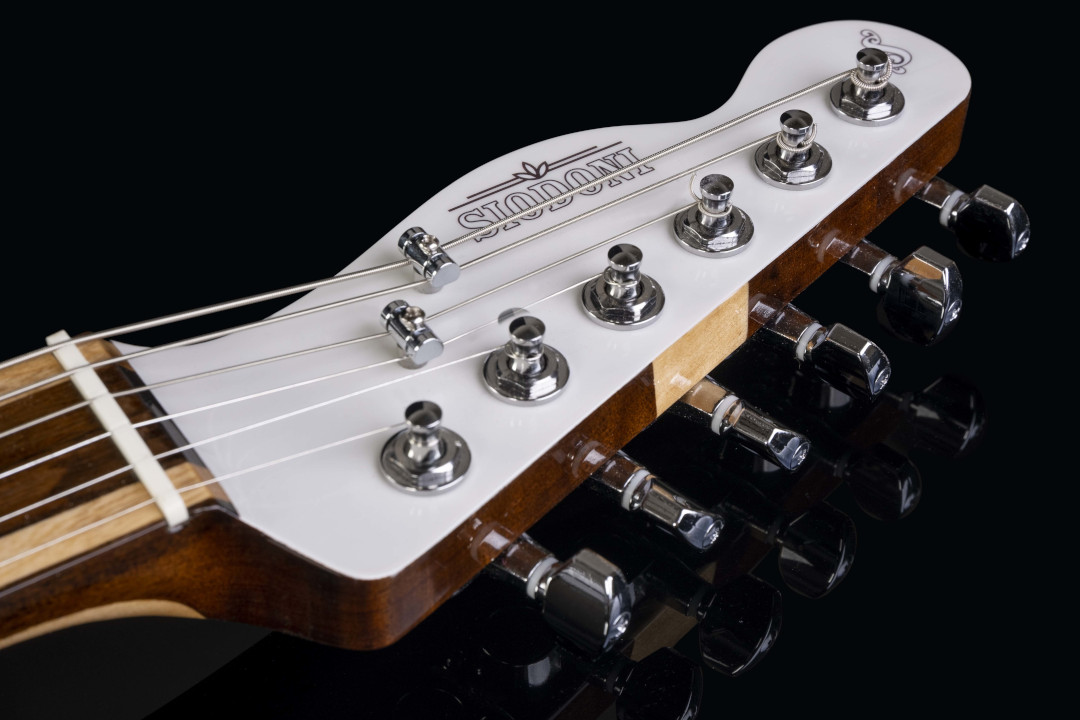 Modelo: Telecaster / Ano 2021