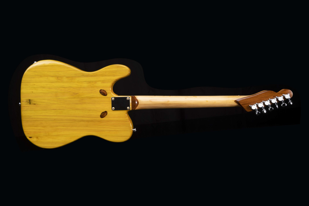 Modelo: Telecaster / Ano 2021 / Artista: Tostoi