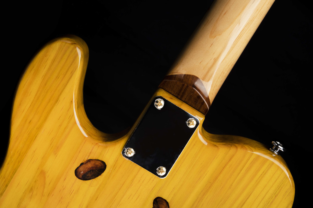 Modelo: Telecaster / Ano 2021 / Artista: Tostoi