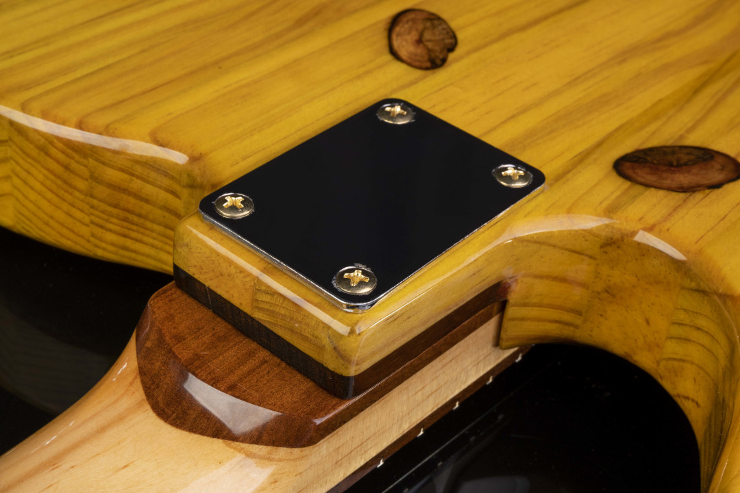 Modelo: Telecaster / Ano 2021 / Artista: Tostoi