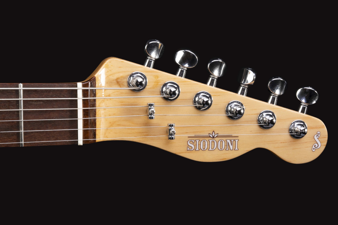 Modelo: Telecaster / Ano 2021 / Artista: Tostoi