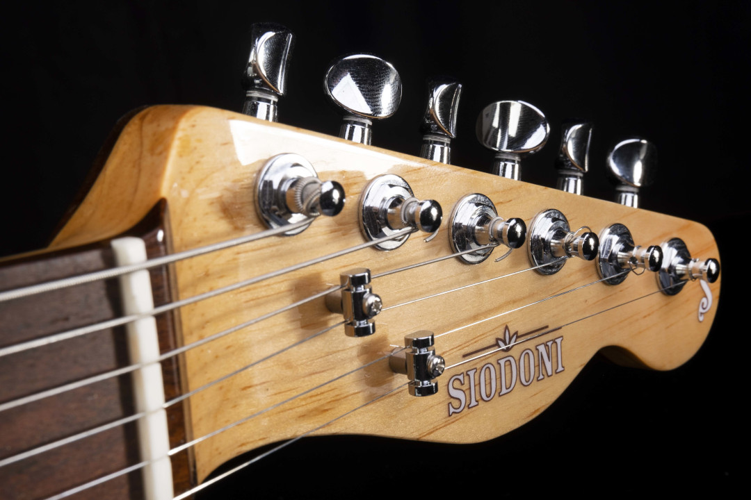 Modelo: Telecaster / Ano 2021 / Artista: Tostoi