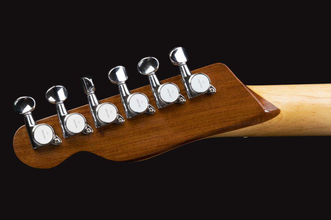 Modelo: Telecaster / Ano 2021 / Artista: Tostoi