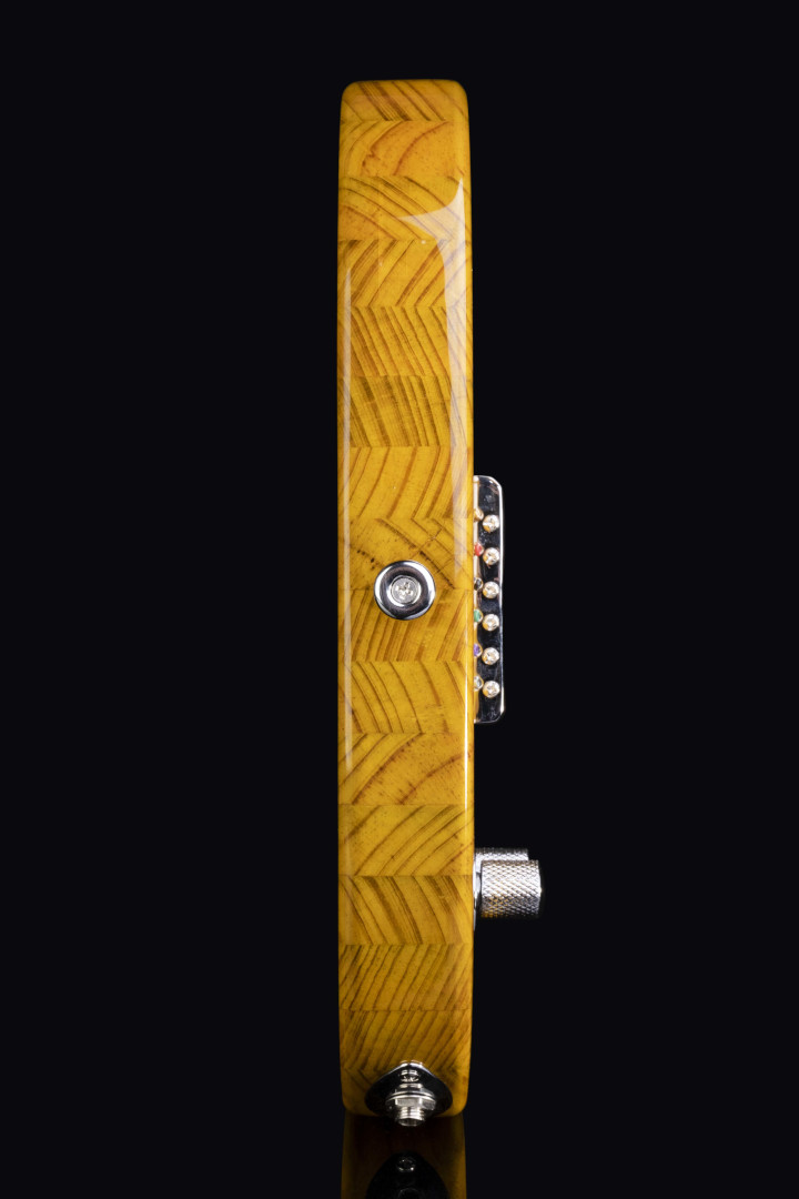 Modelo: Telecaster / Ano 2021 / Artista: Tostoi