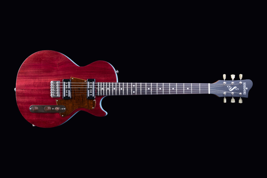 Guitarra Modelo: TelesPaul / Ano 2021
