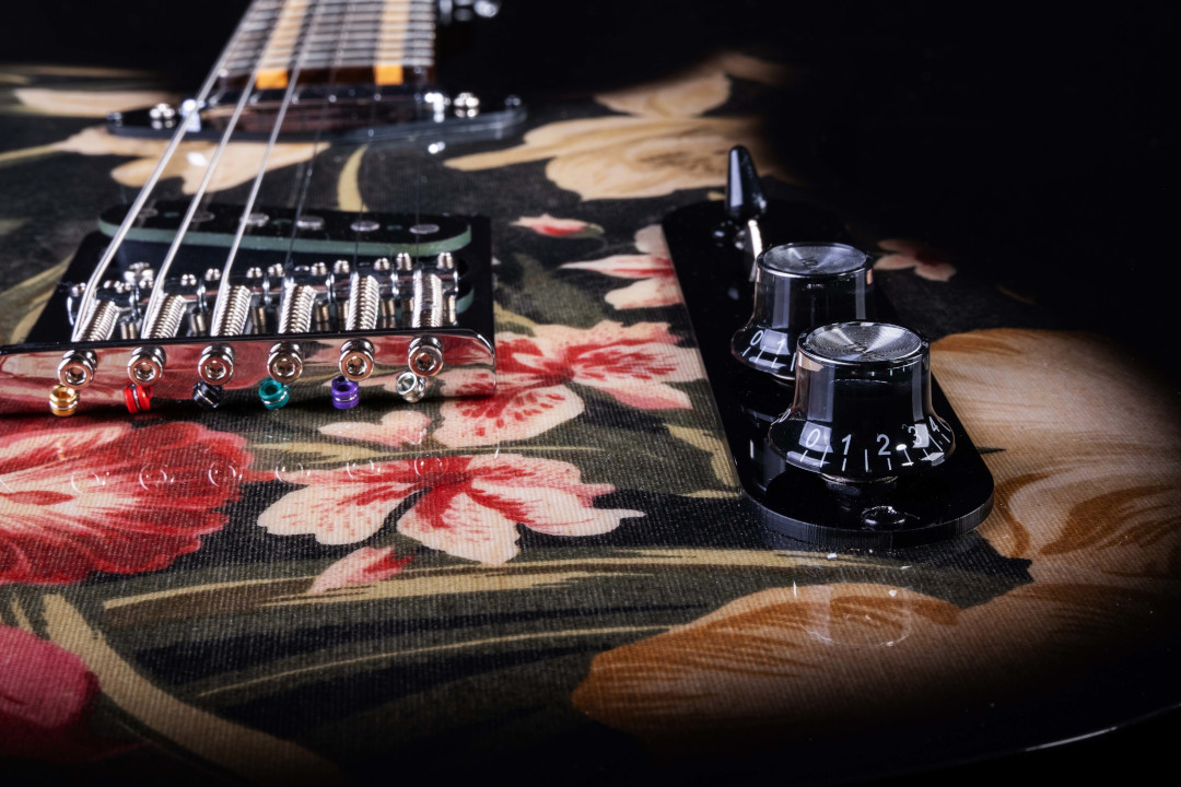 Modelo: Telecaster / Ano 2021 / Artista: Tostoi