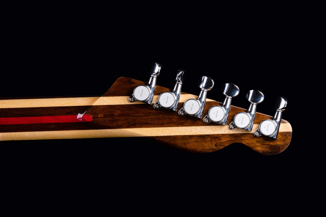 Modelo: Telecaster / Ano 2021 / Artista: Tostoi