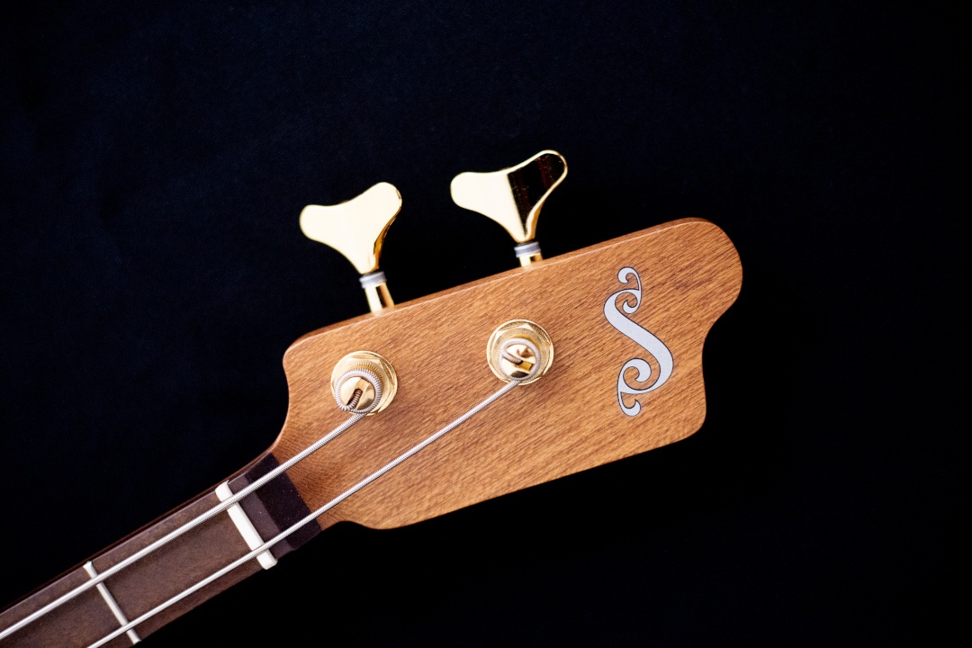 Modelo: T-Bird 2C / Ano 2025