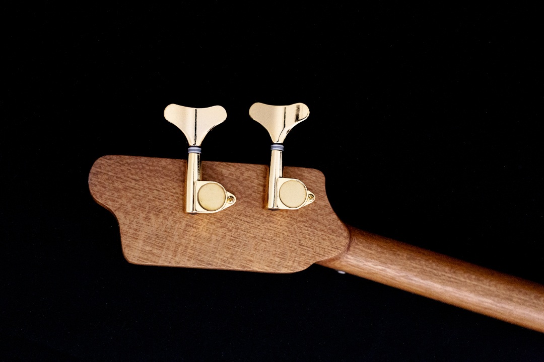 Modelo: T-Bird 2C / Ano 2025