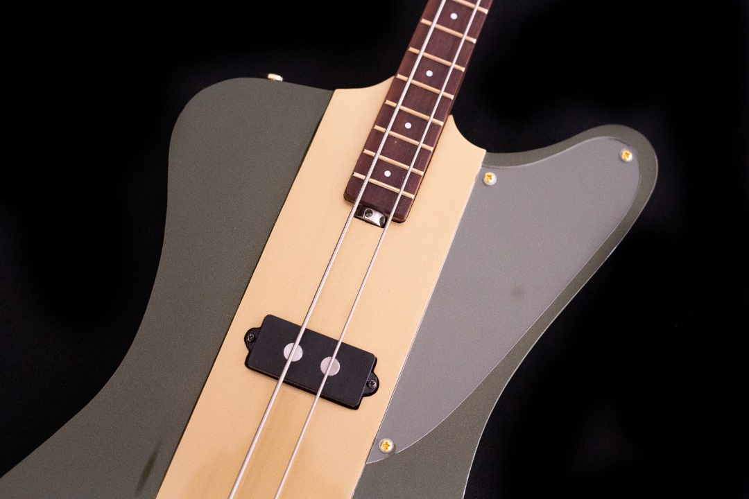 Modelo: T-Bird 2C / Ano 2025 / Artista: Tofer Brown