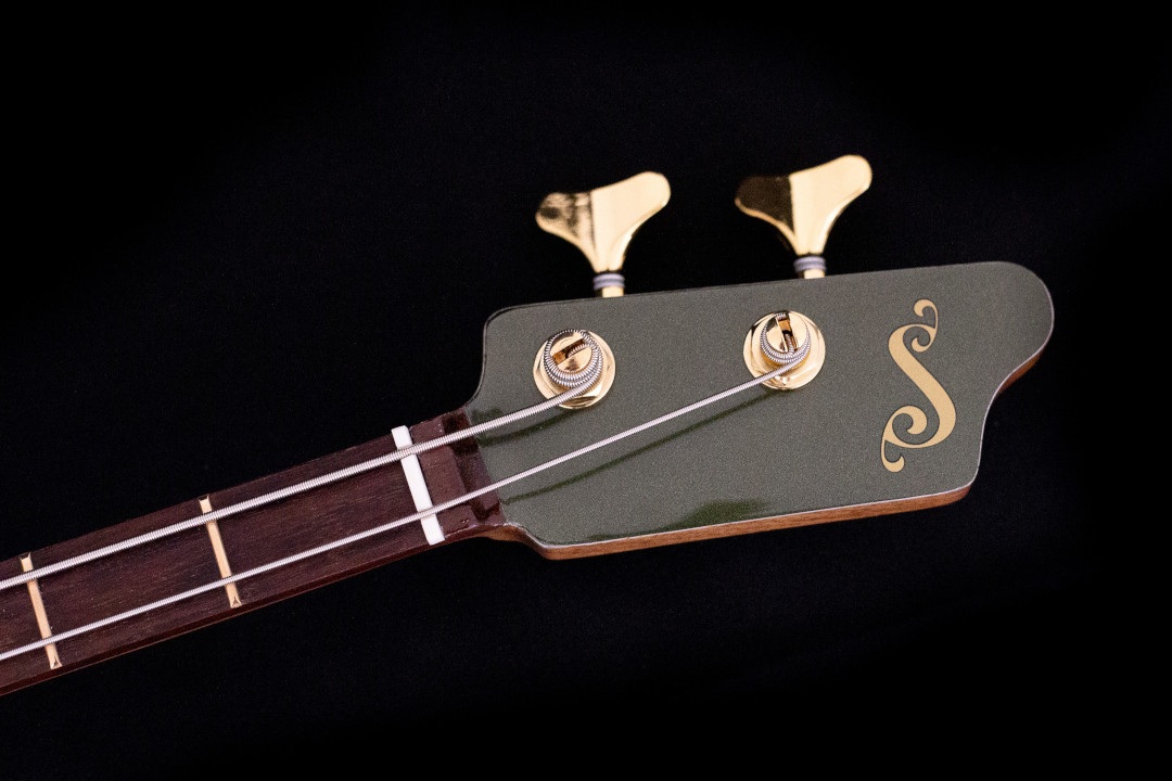 Modelo: T-Bird 2C / Ano 2025 / Artista: Tofer Brown