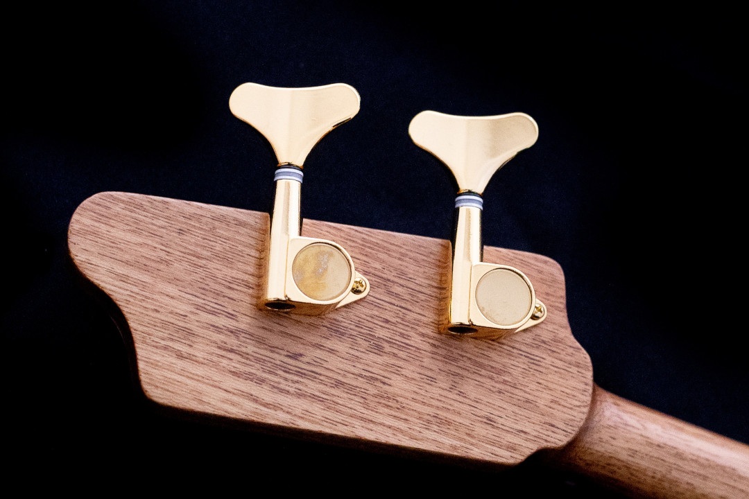 Modelo: T-Bird 2C / Ano 2025 / Artista: Tofer Brown