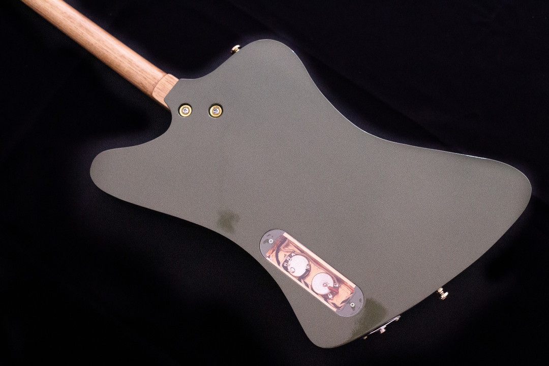 Modelo: T-Bird 2C / Ano 2025 / Artista: Tofer Brown