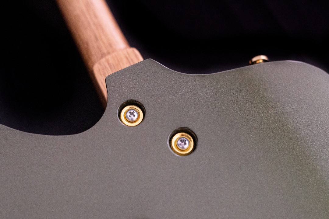 Modelo: T-Bird 2C / Ano 2025 / Artista: Tofer Brown