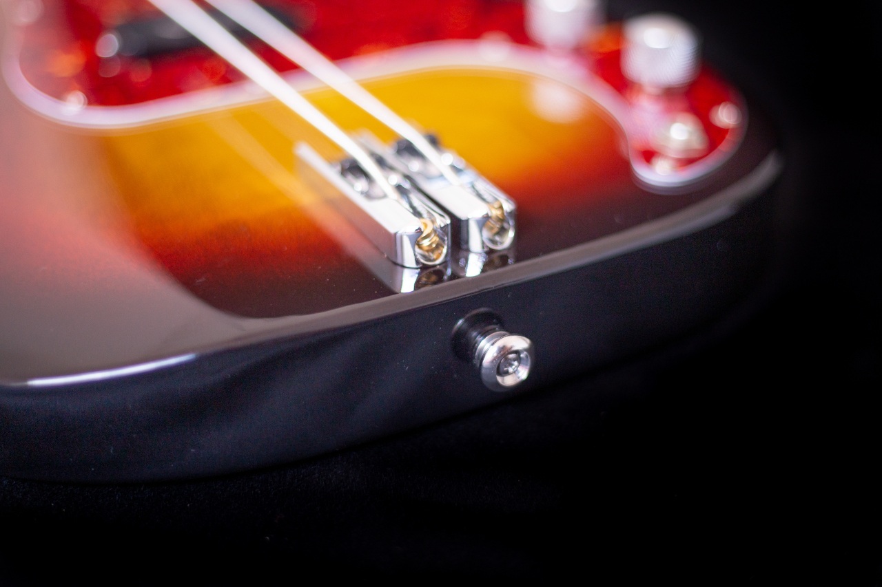 Modelo: P-Bass 2C / Ano 2025 / Artista: Buddy Cannon