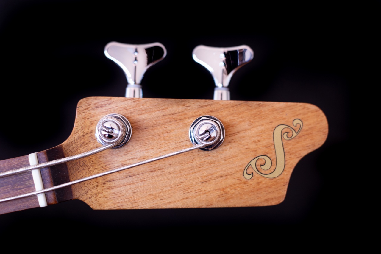 Modelo: P-Bass 2C / Ano 2025 / Artista: Buddy Cannon