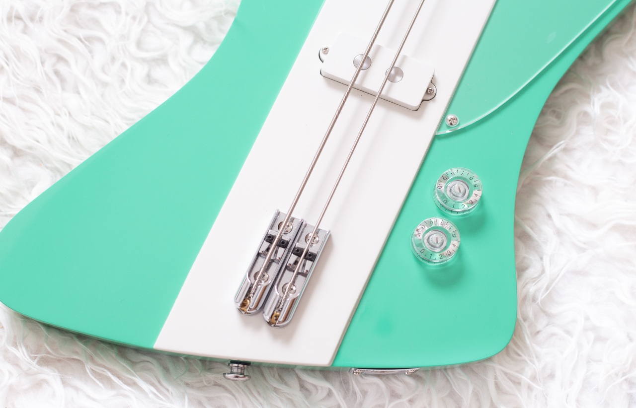 Modelo: T-Bird 2C / Ano 2025 / Artista: Alex Banarer