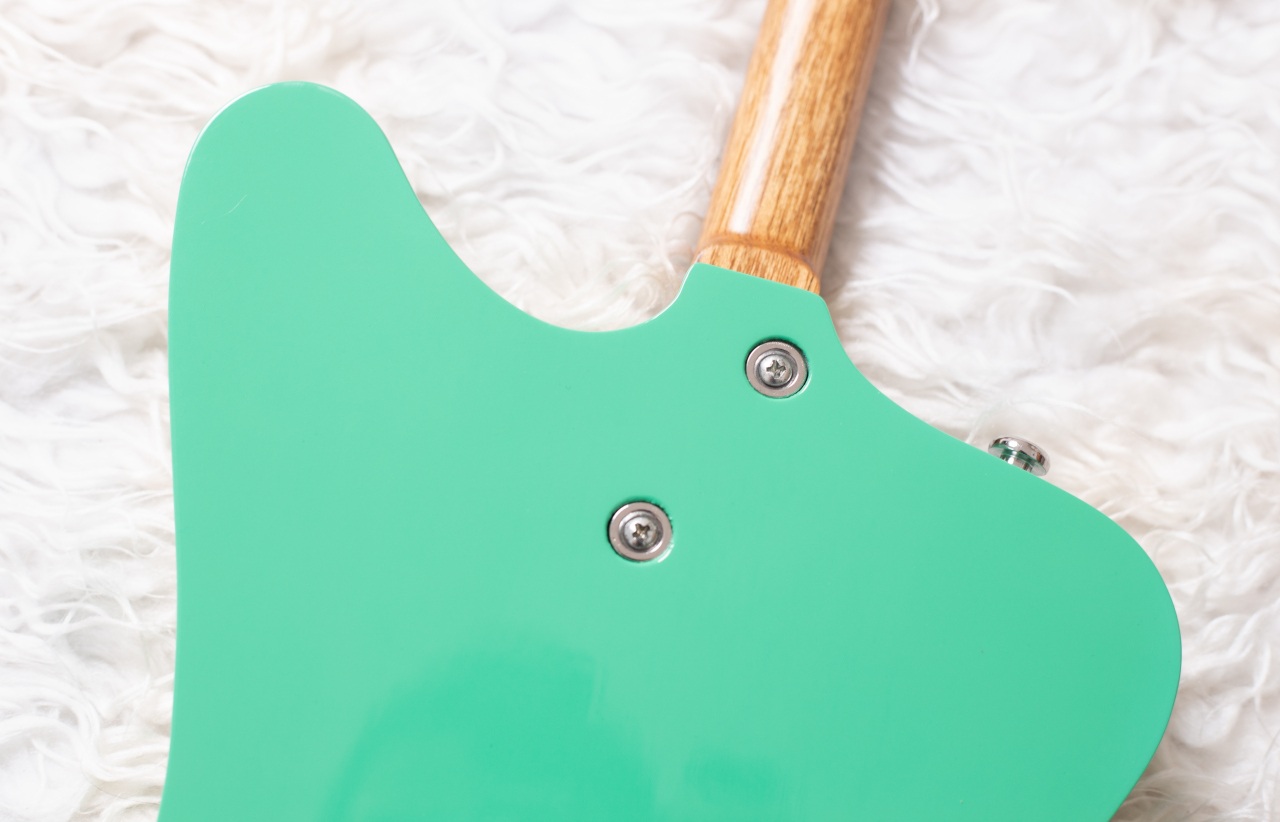 Modelo: T-Bird 2C / Ano 2025 / Artista: Alex Banarer