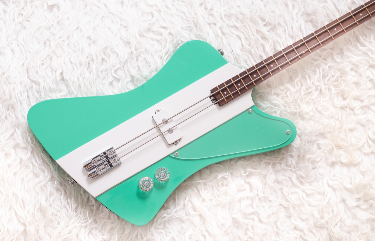 Modelo: T-Bird 2C / Ano 2025 / Artista: Alex Banarer