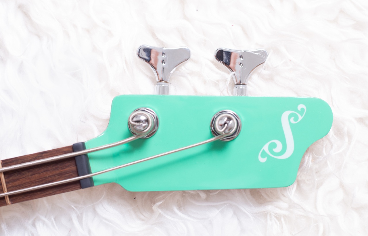 Modelo: T-Bird 2C / Ano 2025 / Artista: Alex Banarer