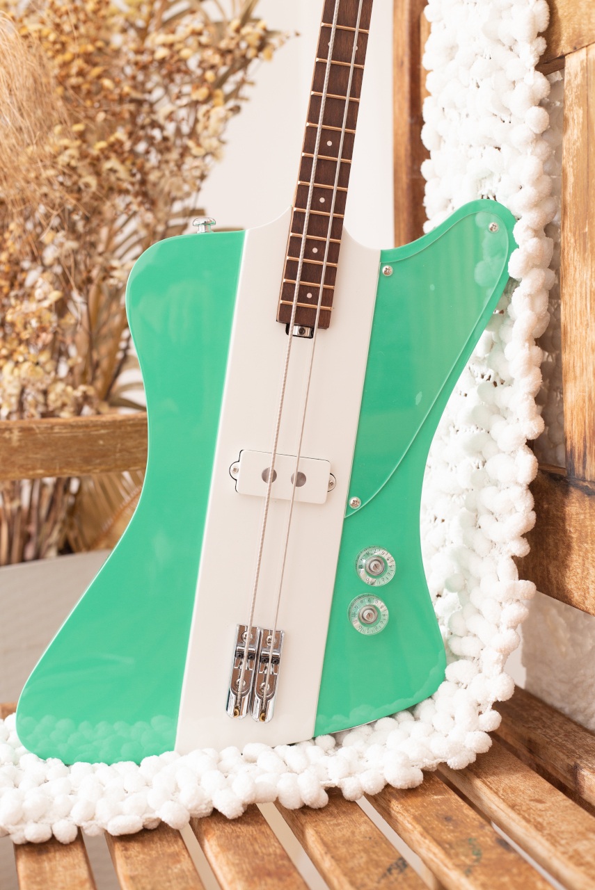 Modelo: T-Bird 2C / Ano 2025 / Artista: Alex Banarer