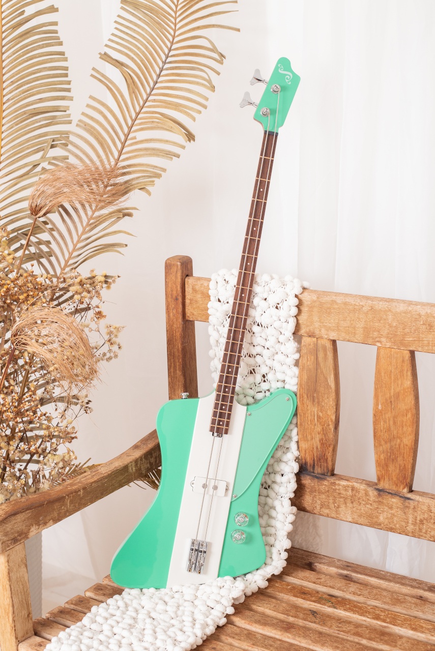 Modelo: T-Bird 2C / Ano 2025 / Artista: Alex Banarer