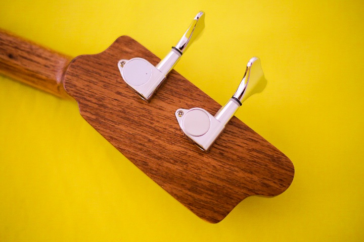 Modelo: T-Bird 2C / Ano 2026