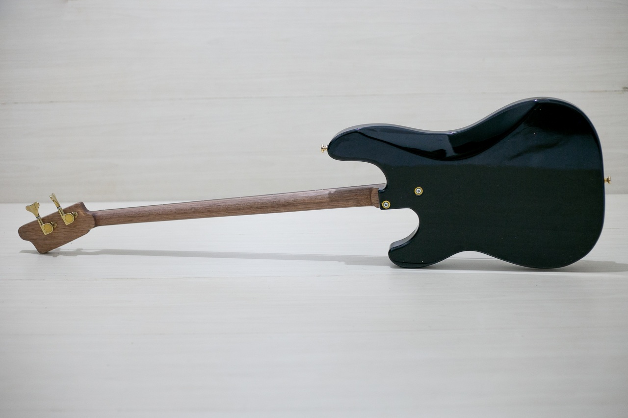 Modelo: P-Bass 2C / Ano 2026 / Artista: Nico Gallegos